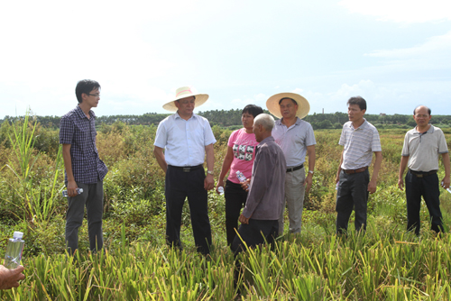 梁权财三进桥南现场办公解决群众热点难点问题