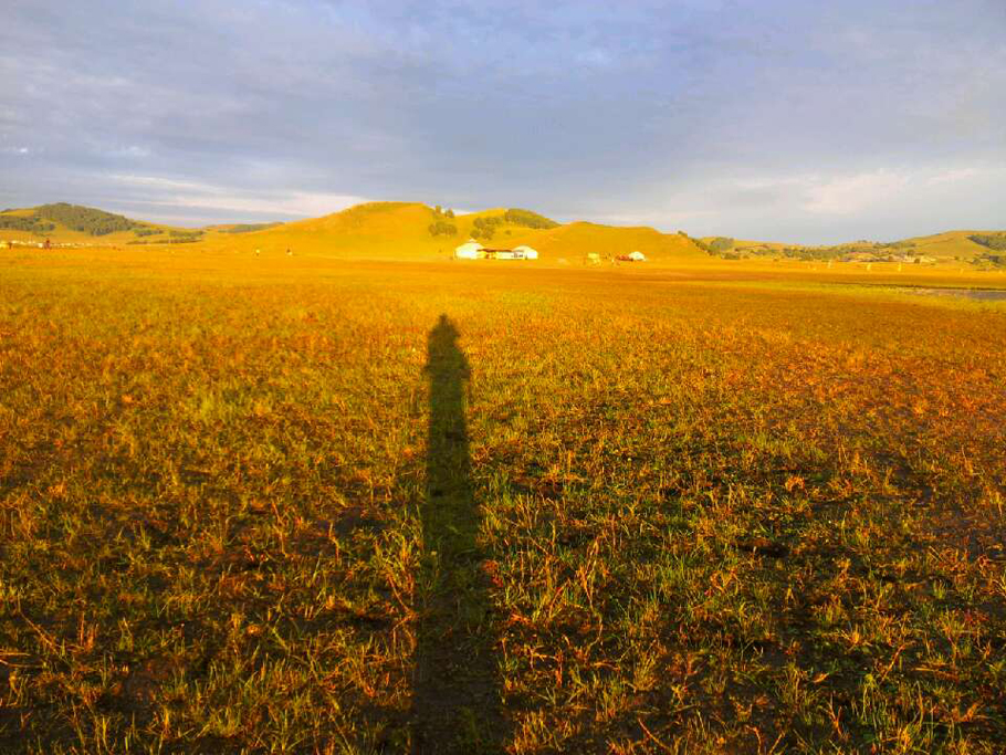 乡情 《草原与人》作者:蒙小春