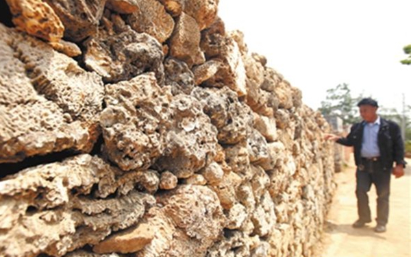 正逐渐消失的古建筑奇葩--徐闻珊瑚石屋 - 新华网广东频道