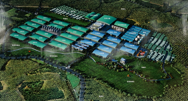 亿元生态循环科技农业项目落户徐闻 - 新华网广东频道