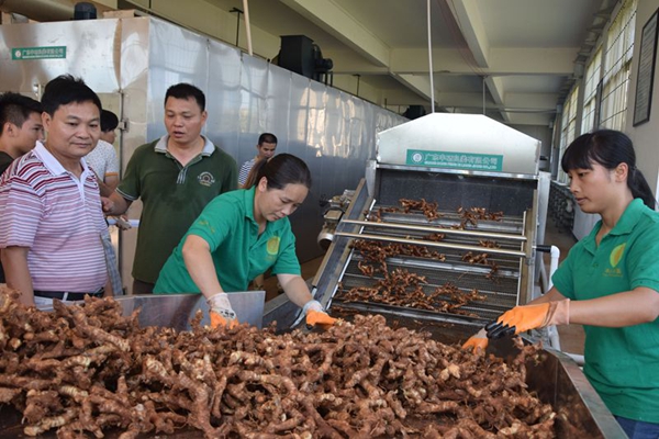 徐闻县互联网创业青年考察农海产品企业