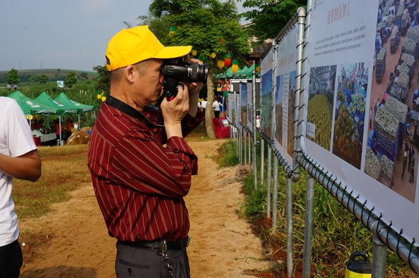 文化展为徐闻菠萝文化旅游节添彩