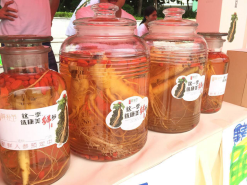 参宝带你玩转奥运城市坐标定向挑战赛在深圳