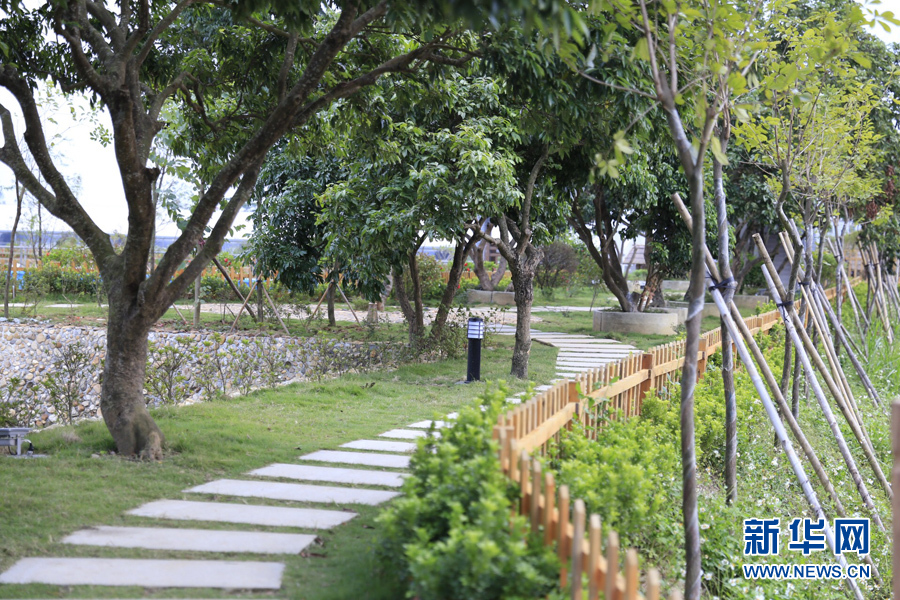 粤建粤美全媒体采风团走进博罗县松树岗村