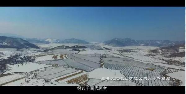 康美药业全新企业宣传片先导版发布