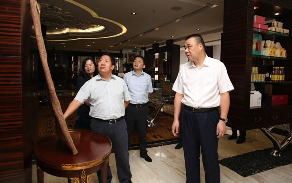 安徽黄山市委副书记周勇考察康美药业智慧+大