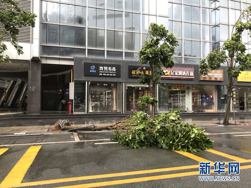 台风天鸽登陆广东 深圳大风将持续