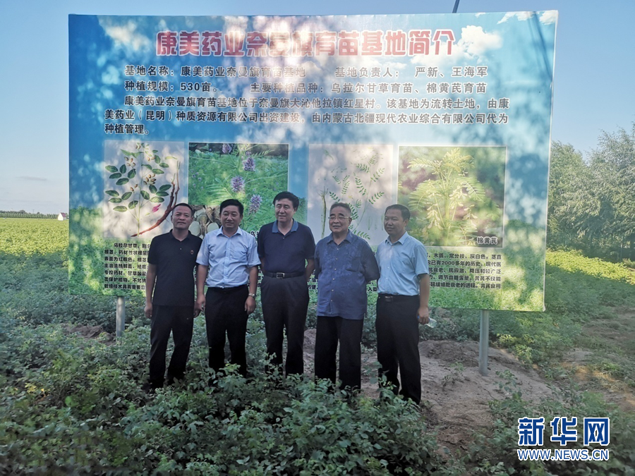 中国中医科学院院长张伯礼考察康美药业道地中