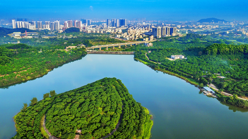 建设四城两区 打造世界一流科学城和深圳北部