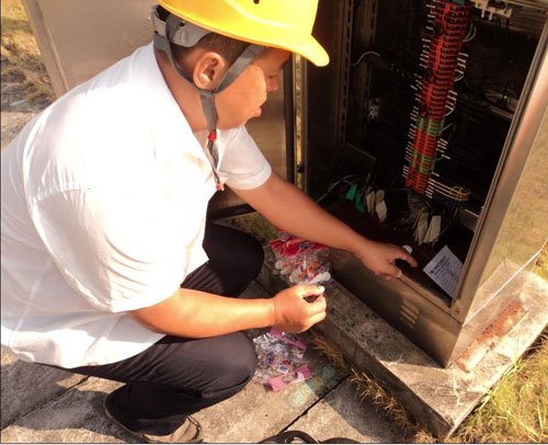 小动物威胁生产安全 海南电网防治有招