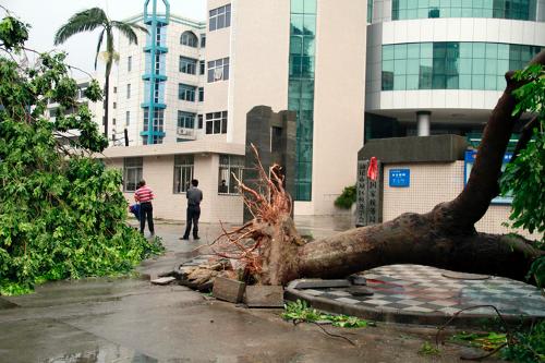 天兔正面登陆汕尾,汕尾国税受灾严重