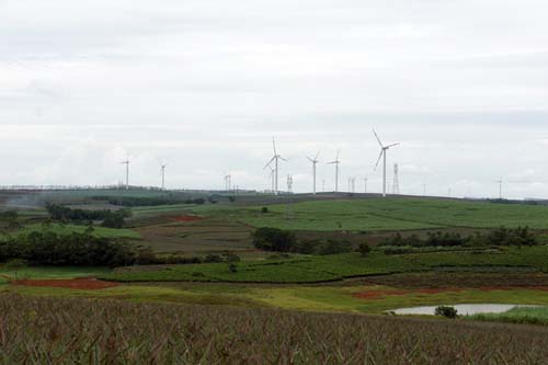 低碳工业 生态徐闻发展格局初见端倪