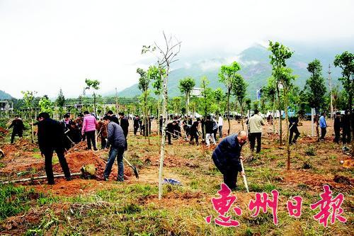 博罗力争到2015年新增7个镇级1个县级森林公