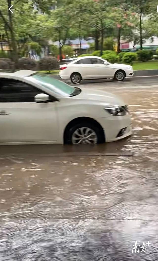 花城大道