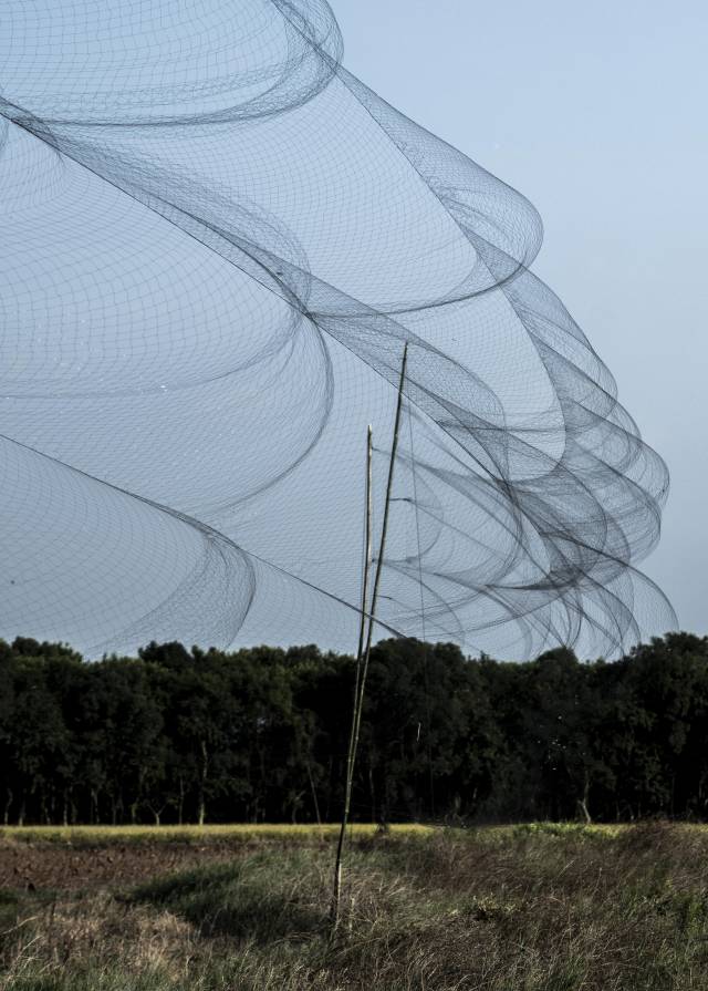一处田埂上的捕鸟网遮天蔽日。