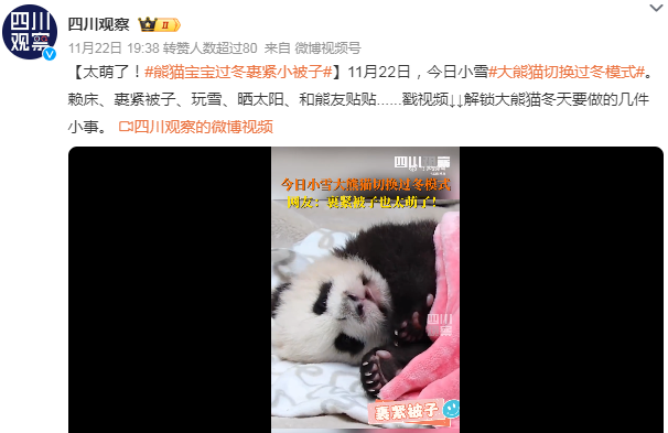 截图20231123090527