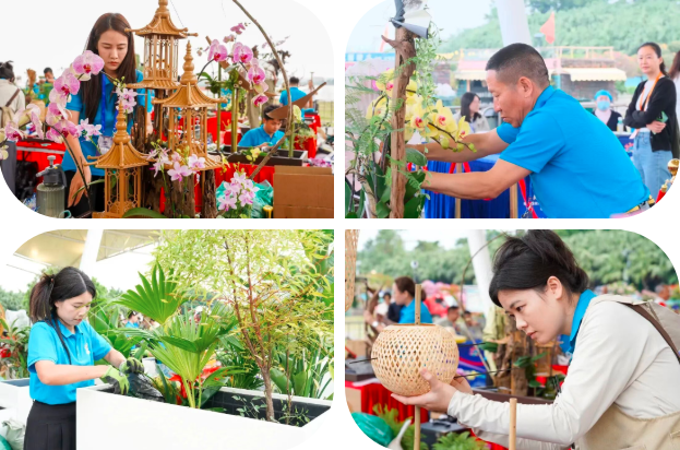 蝴蝶兰展销会、三角梅展览吸引众多市民游客驻足观赏、拍照留念,在花香与光影中邂逅中山“花”样时光 蝴蝶兰展销会、三角梅展览吸引众多市民游客驻足观赏、拍照留念,在花香与光影中邂逅中山“花”样时光