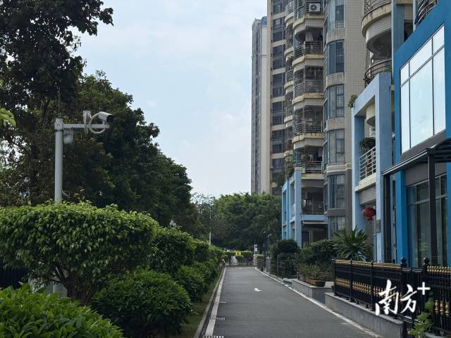 南方+记者 卢慧 摄 南方+记者 卢慧 摄