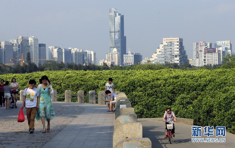 深圳积极构建海洋生态文明城市