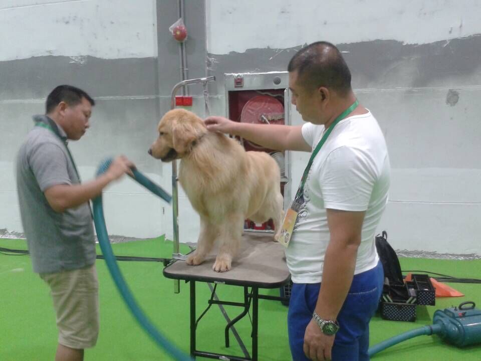 CPF宠博会:电商云集共议互联网+萌宠经济