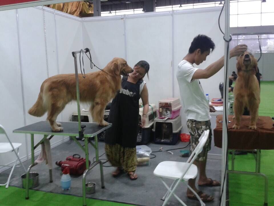 CPF宠博会:电商云集共议互联网+萌宠经济