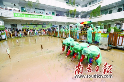 重开劳动课 你想参加吗?