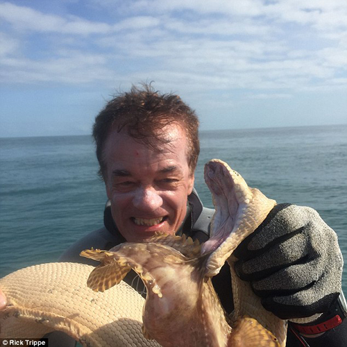 澳捕鱼冠军目睹海蛇石鱼生死战 惊心动魄