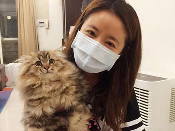 林心如晒怀抱小猫合影 网友:也该有个孩子了