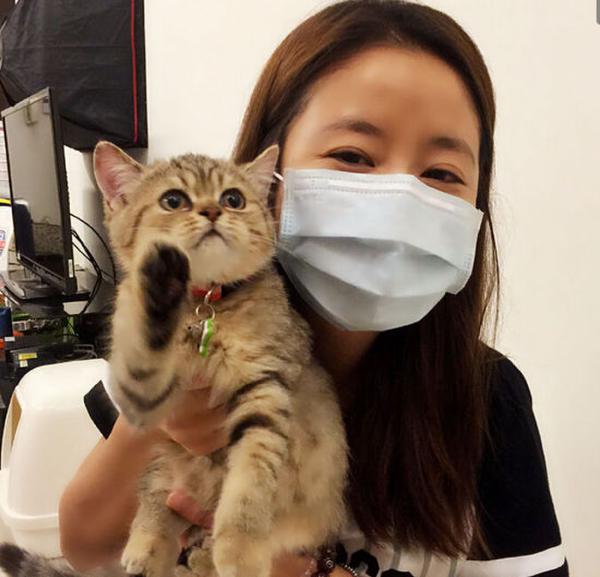 林心如晒怀抱小猫合影 网友:也该有个孩子了