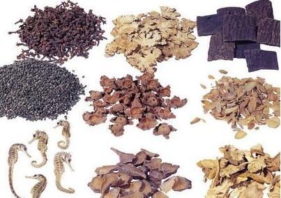 老树 如何发 新芽 来自中医药一线的调查报告