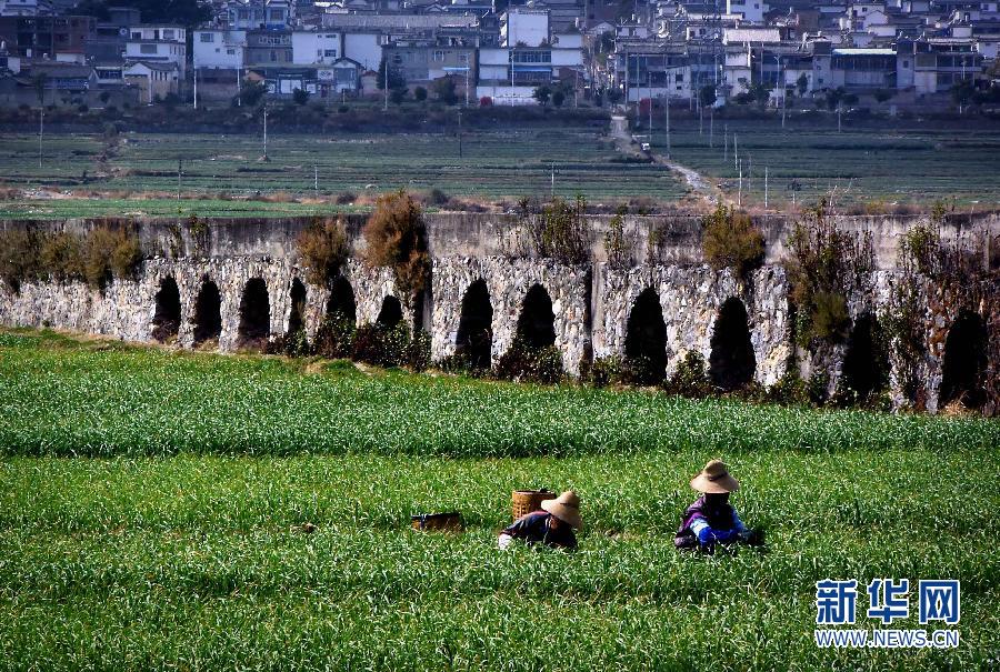 活着的文物瑰宝 新华社记者走14省市拍摄中国