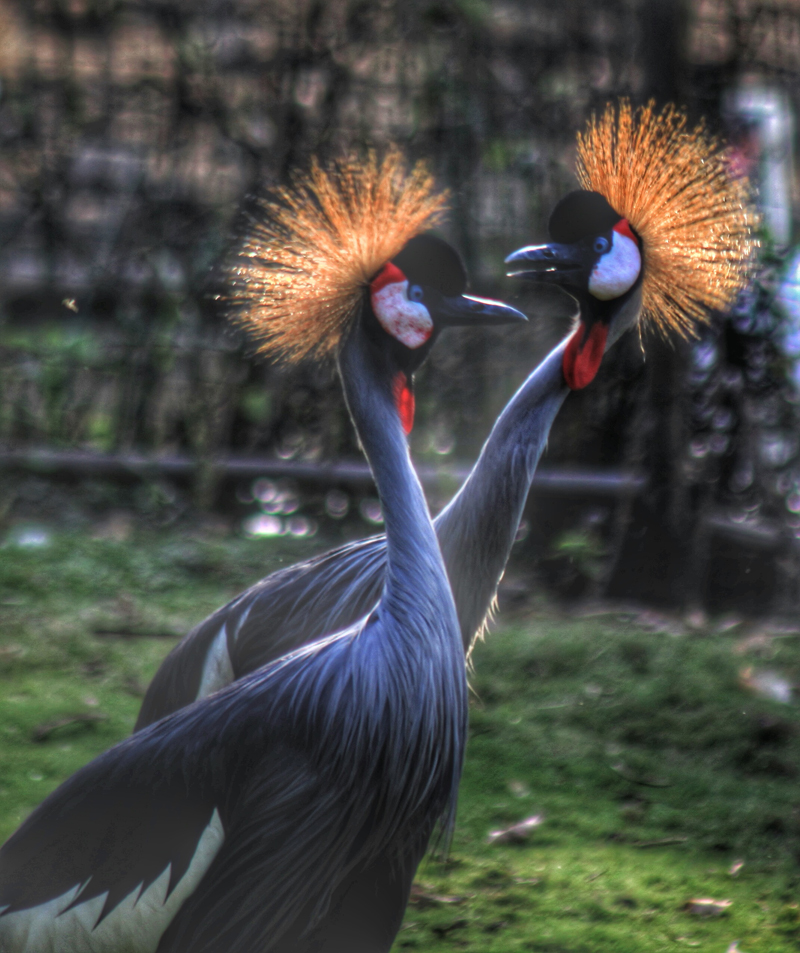 周末全家去哪儿?走走南沙的湿地生态园