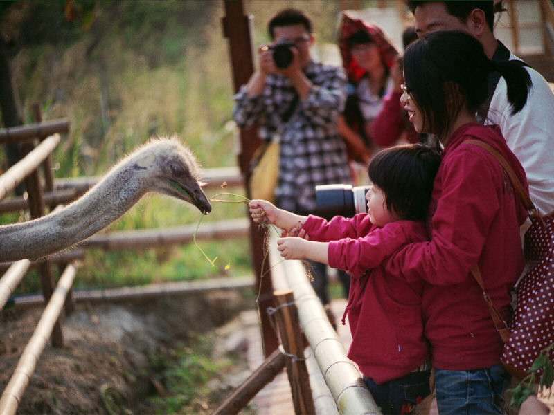 周末全家去哪儿?走走南沙的湿地生态园