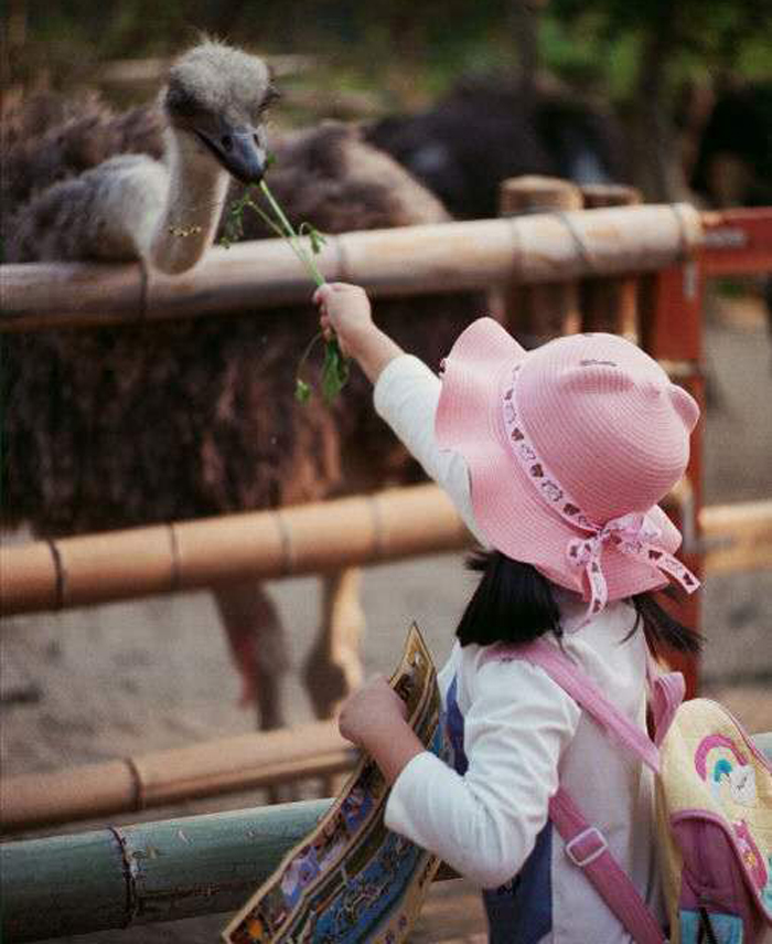周末全家去哪儿?走走南沙的湿地生态园