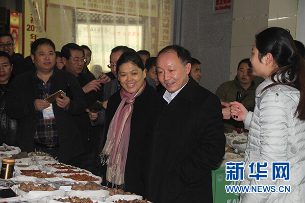 百家民企走进康美（亳州）中药城