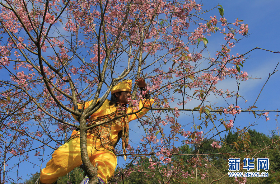 清远佛冈上演搞笑版《西游记》