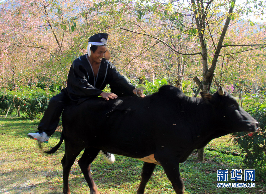 清远佛冈上演搞笑版《西游记》