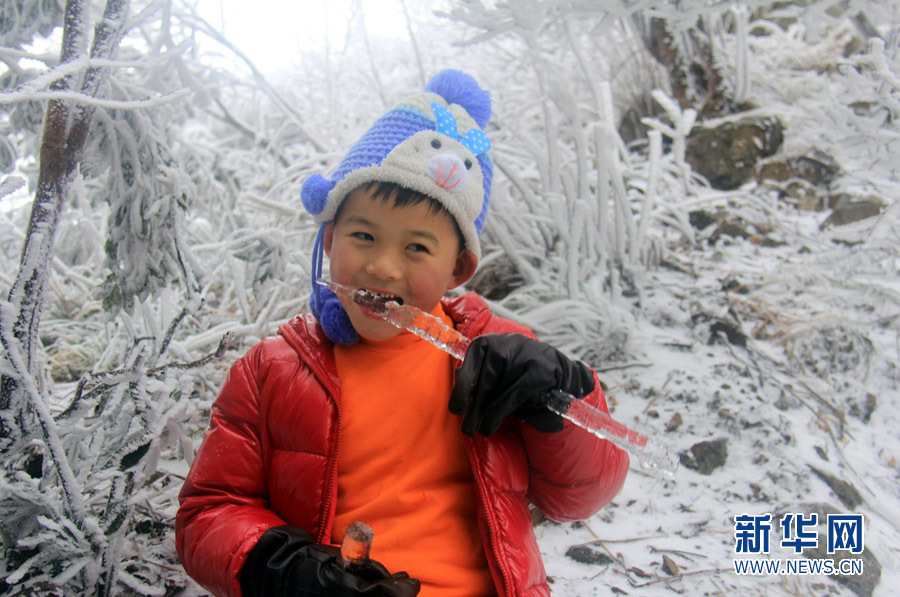 广东人爱雪爱疯了 清远金子山迎来近万名赏雪