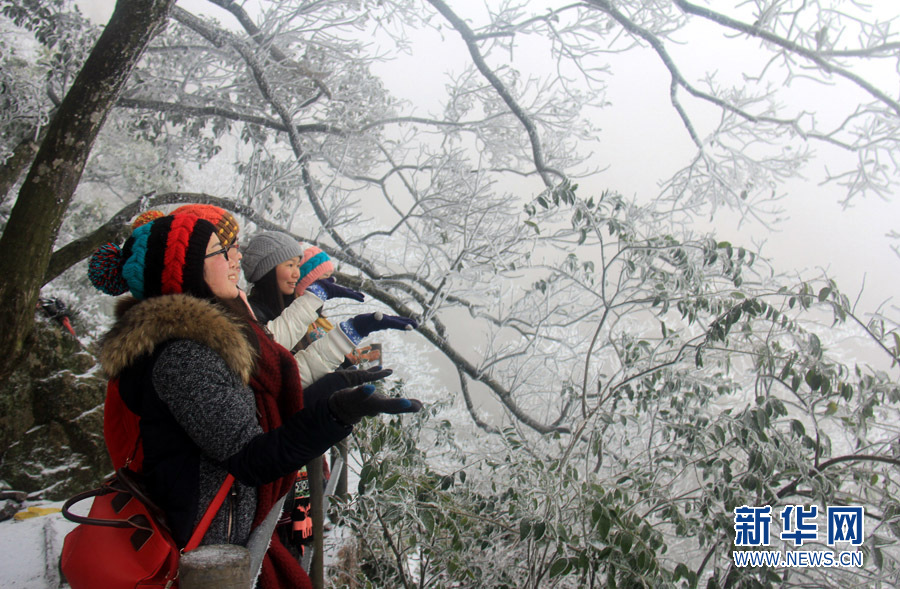 广东人爱雪爱疯了 清远金子山迎来近万名赏雪