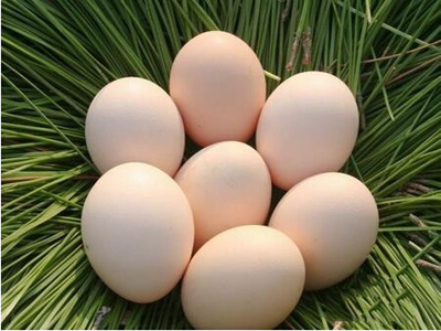 鸡蛋对男人的特殊作用