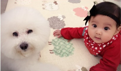 最美宝贝拜年啦!贾静雯女儿咘咘大眼又圆了