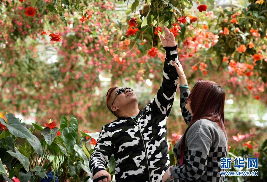 你是我的眼--盲人老高见义勇为收获爱情