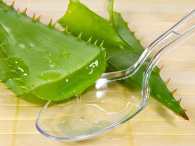 杀菌抗炎健胃 细数芦荟的药用价值