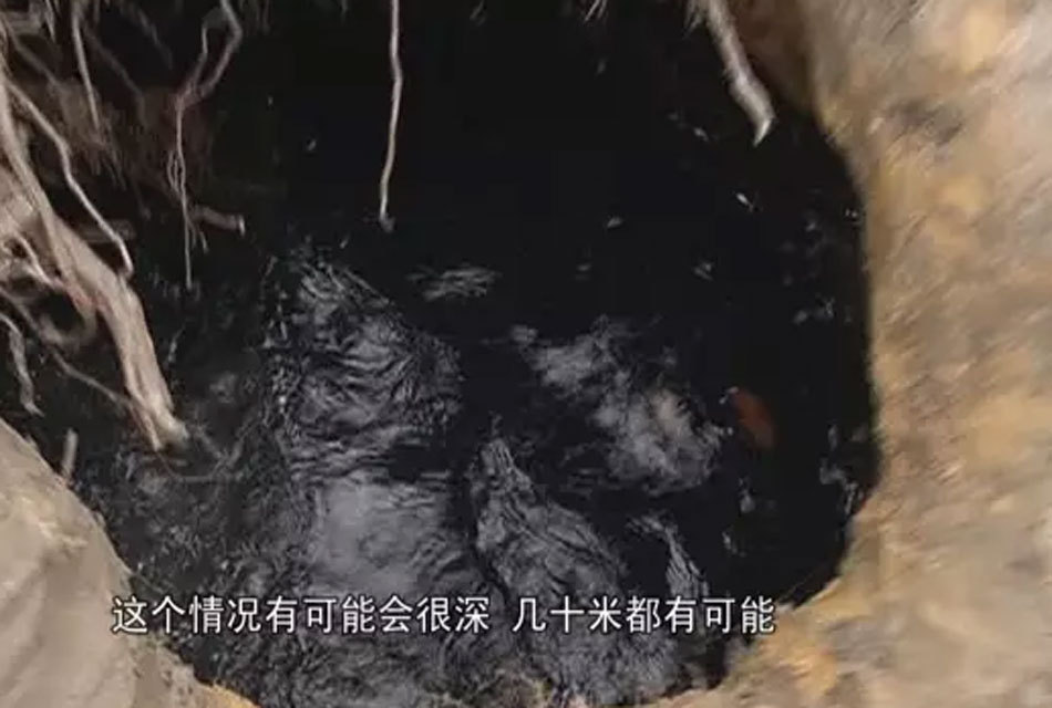 肇庆田间现地洞洞口冒白烟 专家建议不要靠近