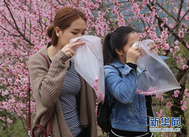 广东清远山里人向游客兜售空气 每袋十元起