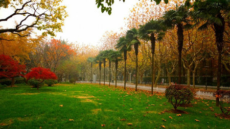 最新QS世界大学排名公布 中国位列全球第二