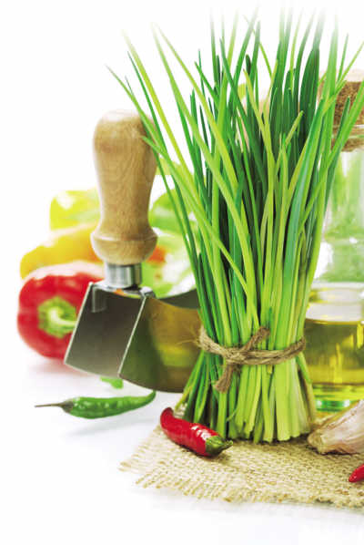 学问:吃韭菜根要去掉半寸、窄叶的味更浓