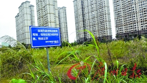 惠州一开发商承诺建小学 六七年过去未见影