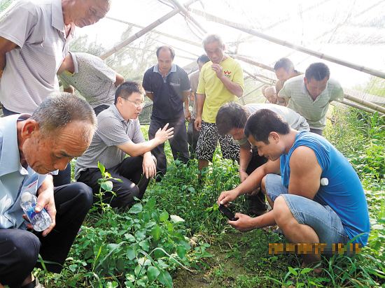 广州市工信委强化资源共享 大数据助力精准扶贫