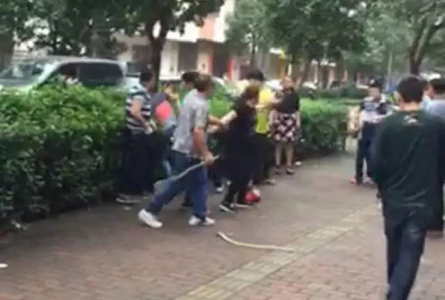 阳江男子被戴绿帽 率队暴打妻子情夫